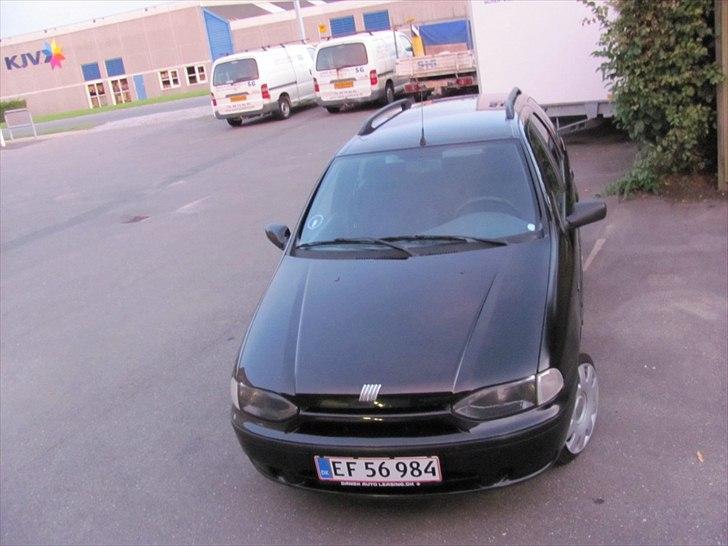 Fiat Palio billede 12