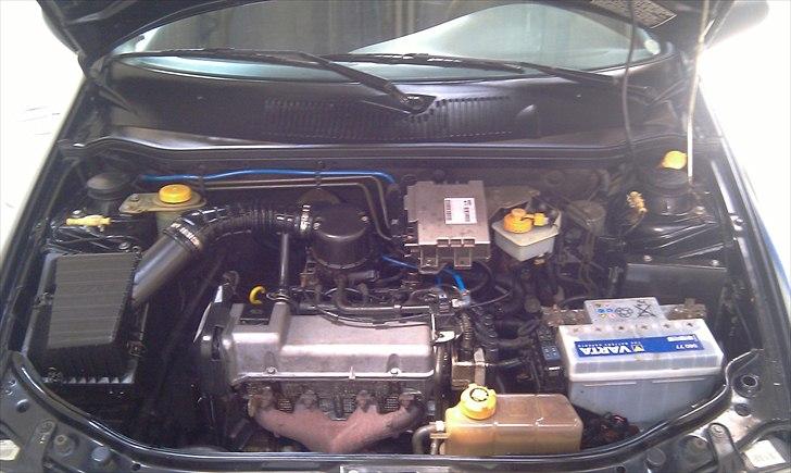 Fiat Palio billede 15