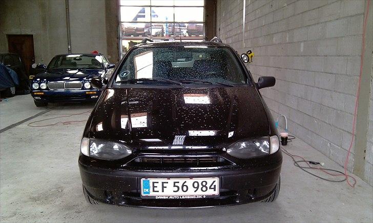 Fiat Palio billede 16