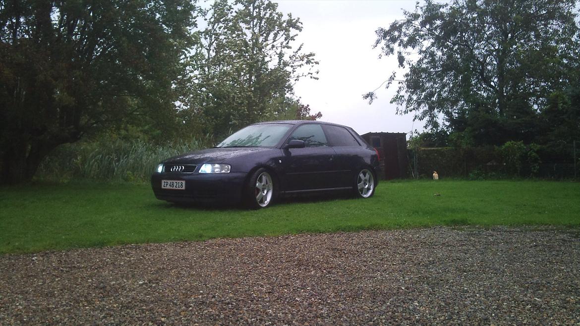 Audi A3 1.8T billede 2