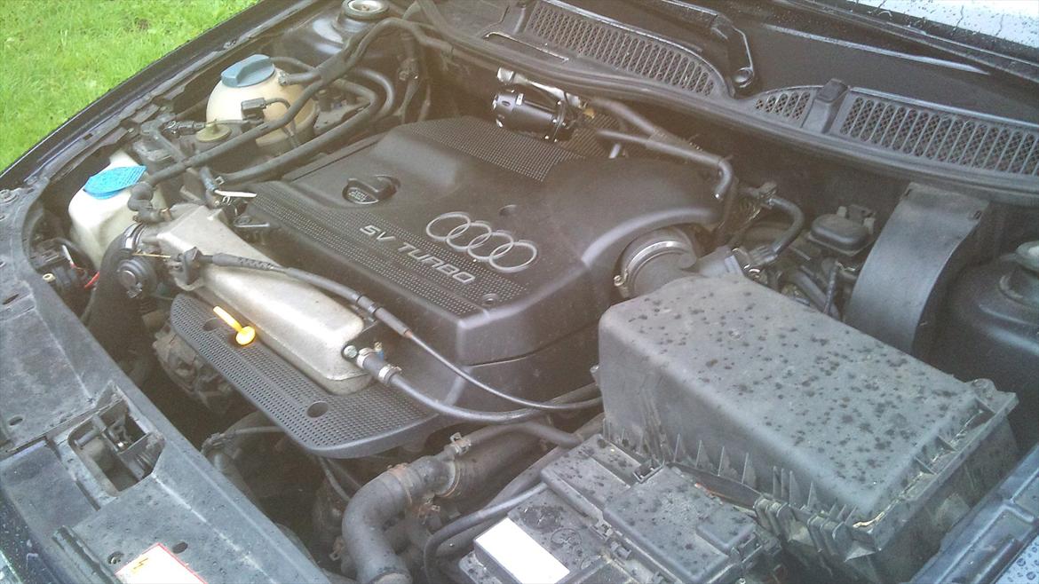 Audi A3 1.8T billede 7