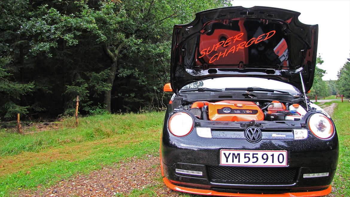 VW Lupo 3L RS billede 6