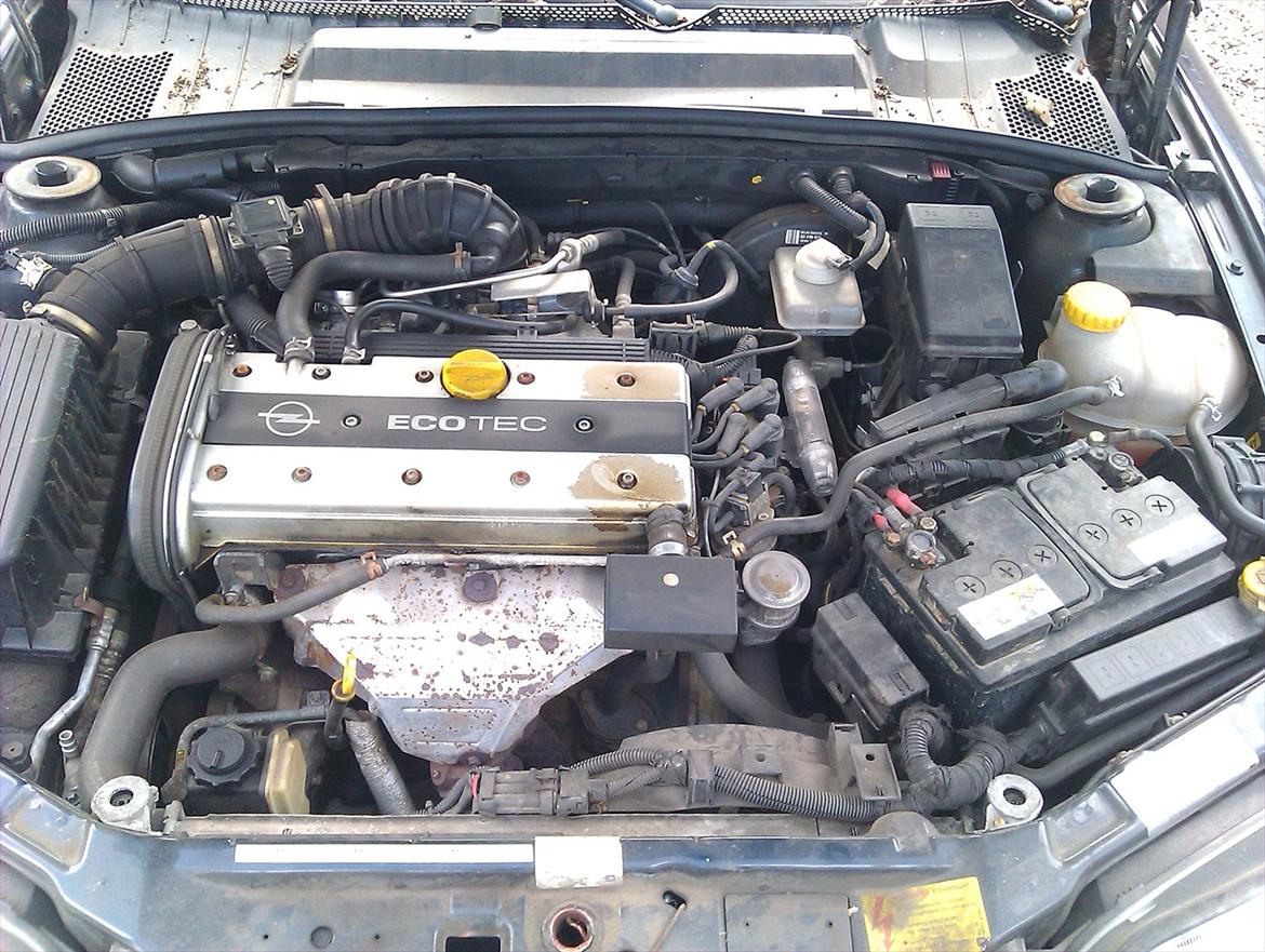 Opel Vectra B billede 10