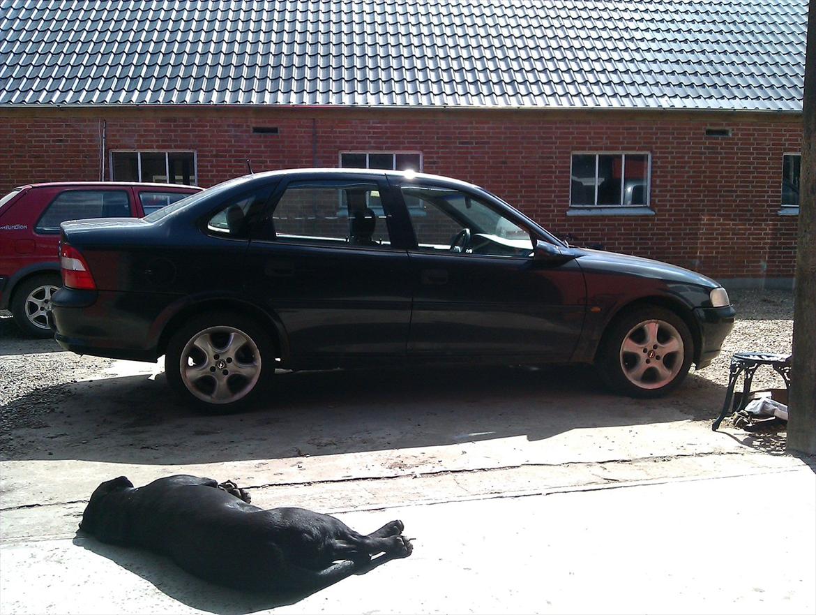 Opel Vectra B billede 14