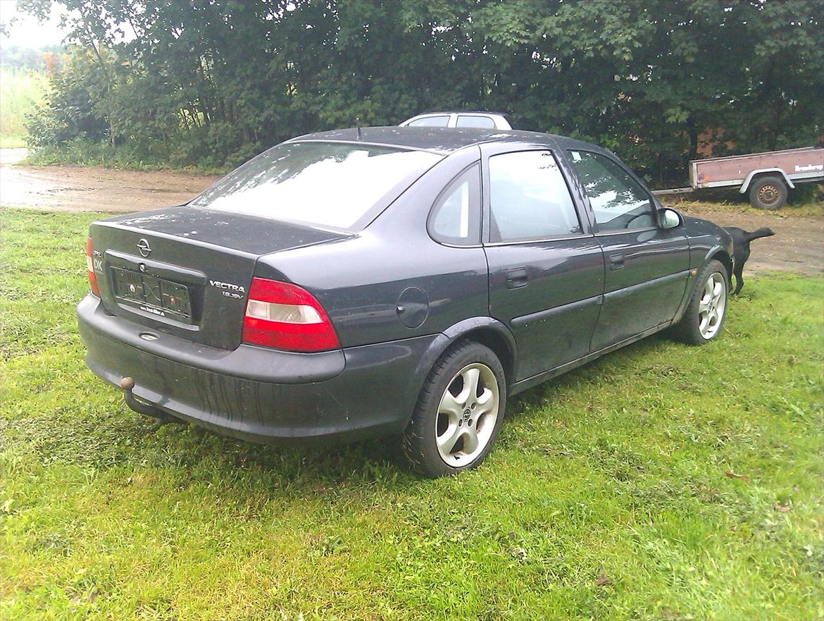 Opel Vectra B billede 4