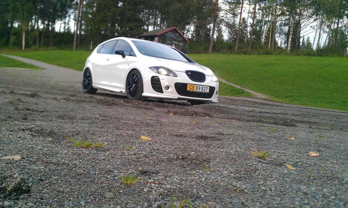 Seat Leon Cupra billede 6