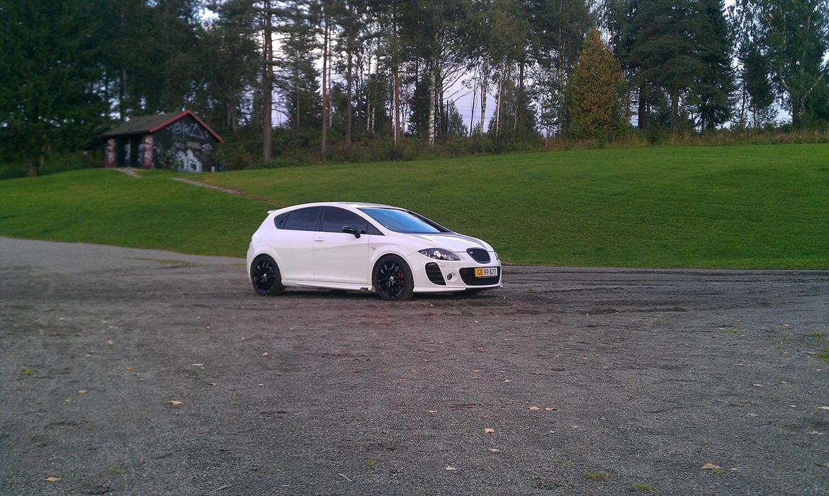 Seat Leon Cupra billede 12