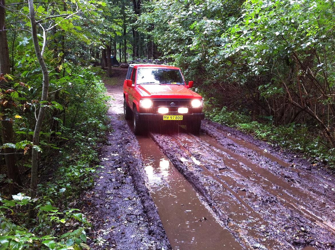 Nissan Patrol billede 1