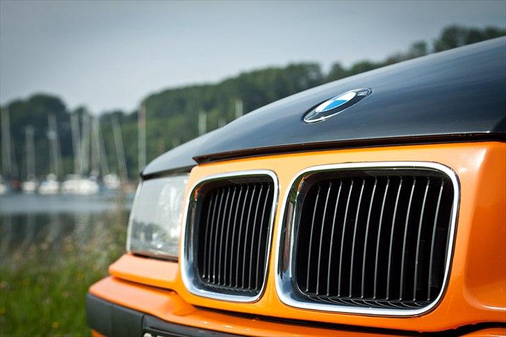 BMW E36 318i Touring billede 5