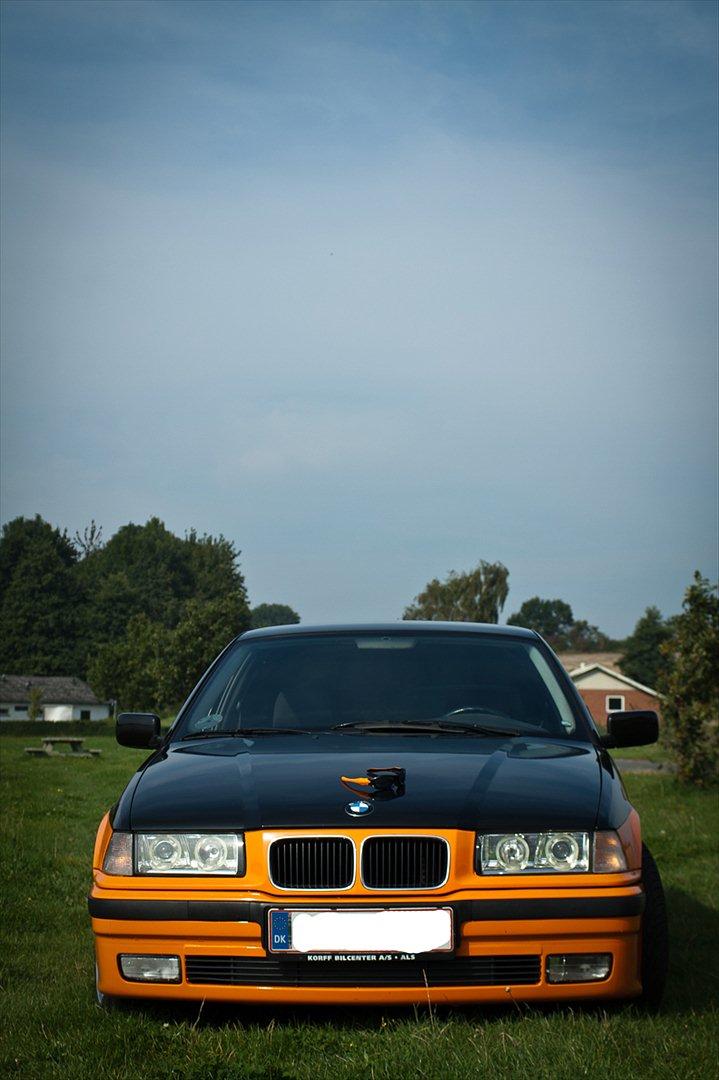 BMW E36 318i Touring billede 18