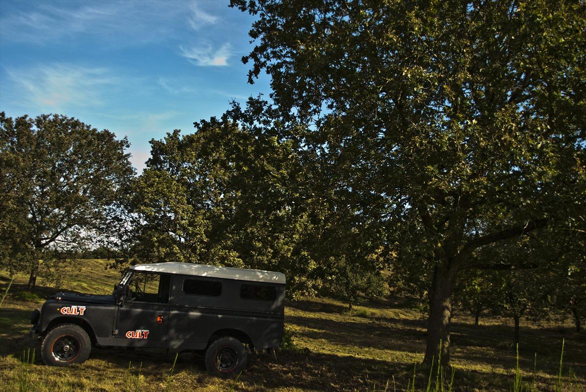 Land Rover 109 billede 4