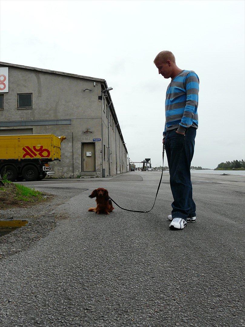 VW Bora 1.8 T Highline  billede 20