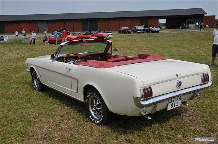 Ford Mustang Cabriolet billede 2