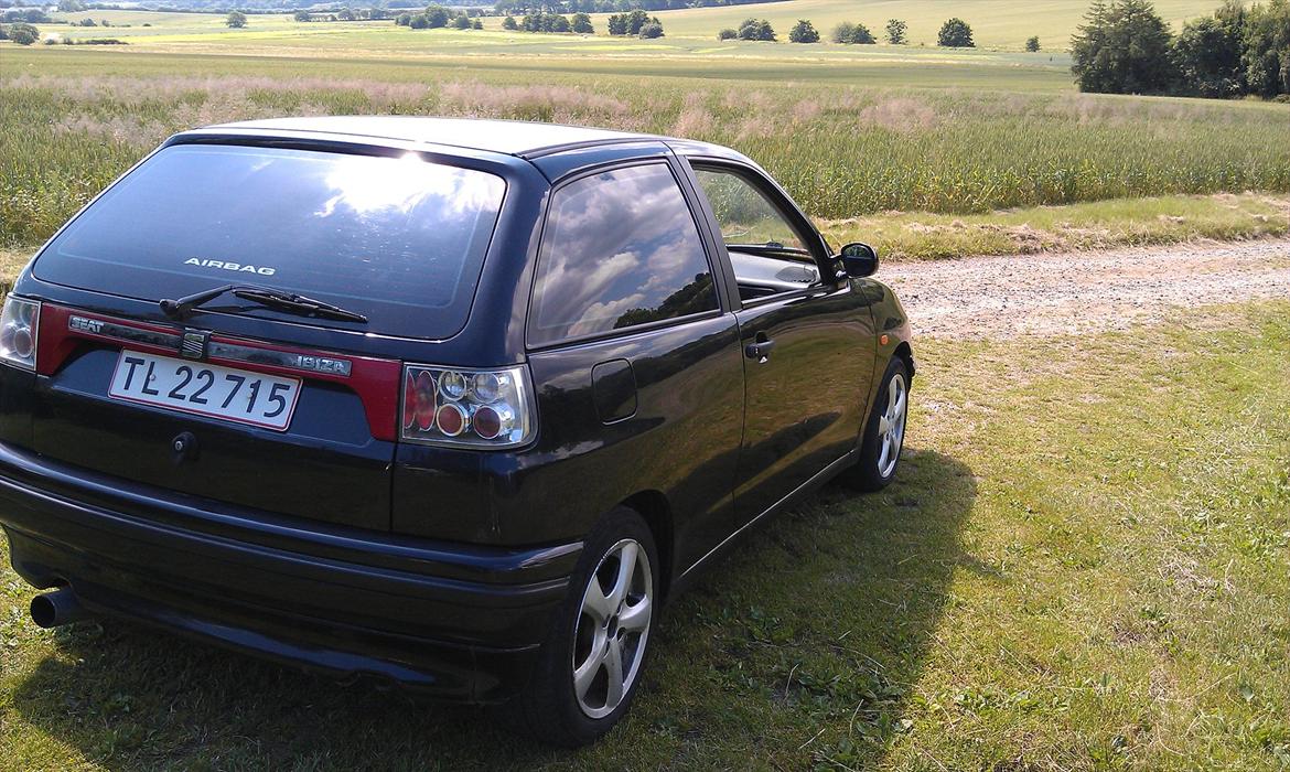 Seat Ibiza 1,6i - Cleaning af bagklappen kommer til vinter! billede 7