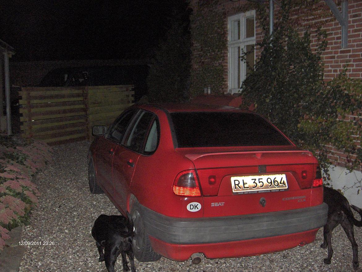 Seat cordoba billede 5