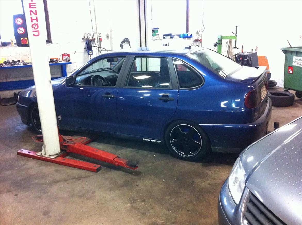 Seat cordoba billede 2