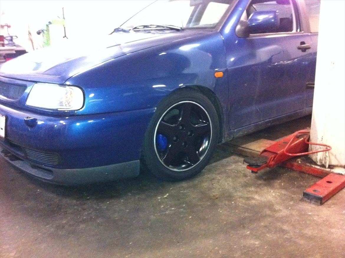 Seat cordoba billede 3