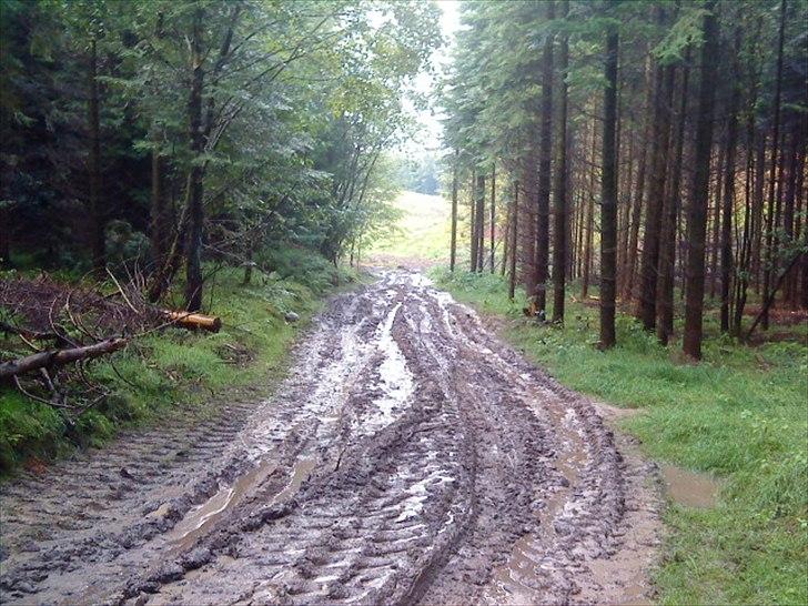 Nissan patrol GR Pickup byttet billede 14