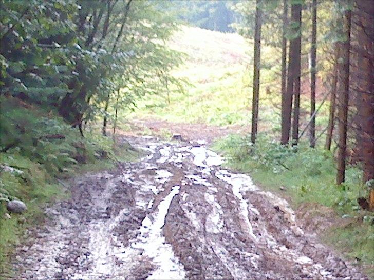 Nissan patrol GR Pickup byttet billede 15