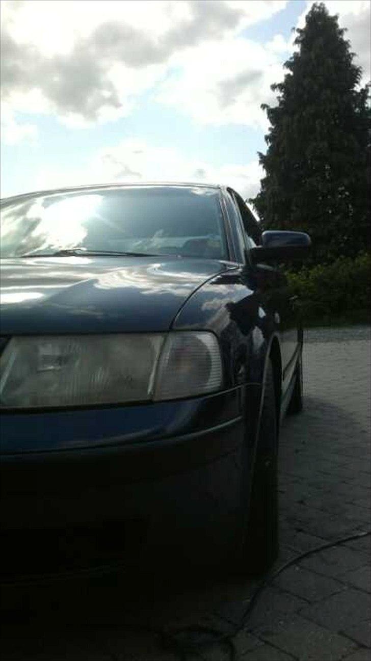 VW Passat 3b Limousine billede 4