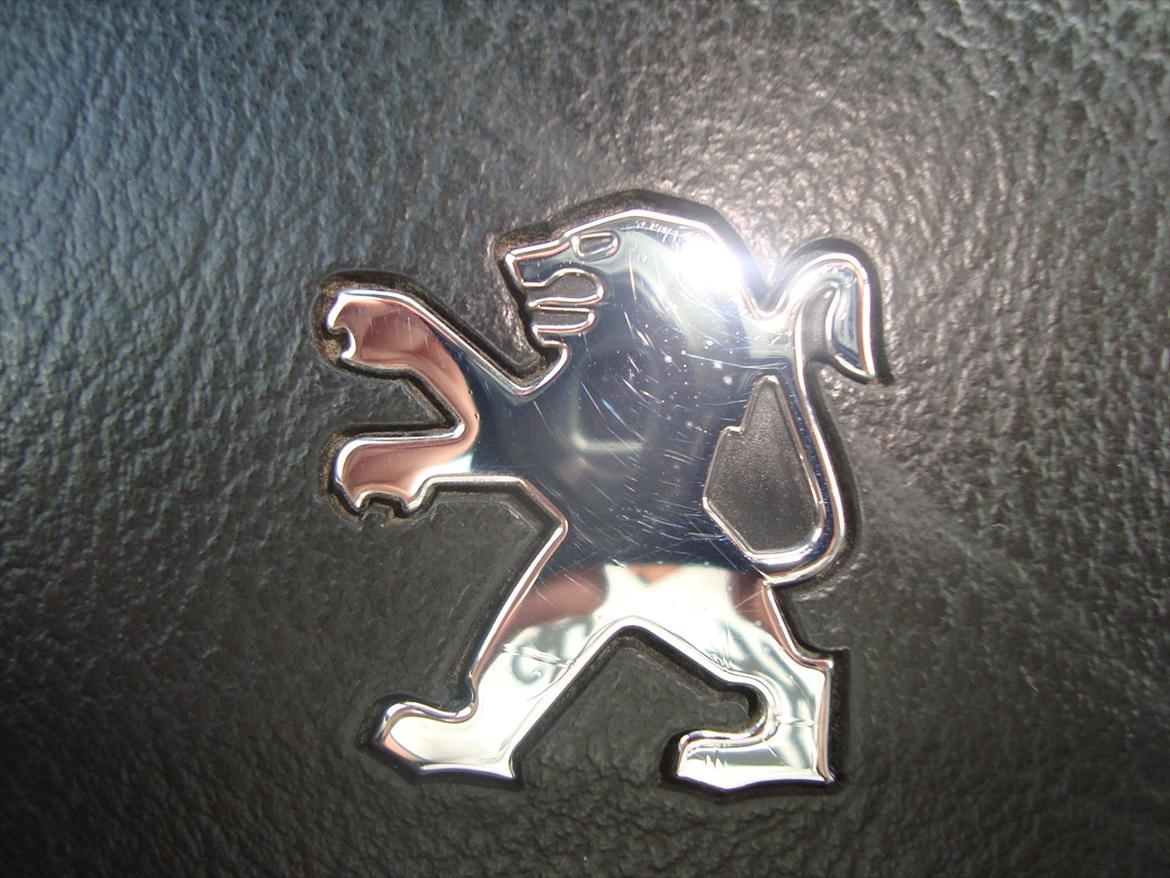 Peugeot 407 SW - løven :0) billede 11