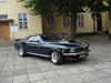 Ford Mustang (Papfar's)