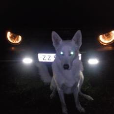 VW Golf 2 Speciel solgt