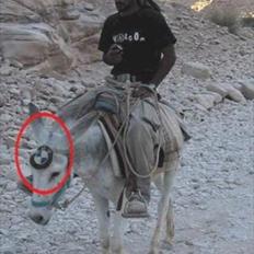 BMW 530 V8 / 540 SOLGT :(