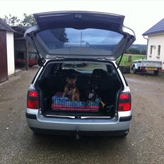 VW Passat 3B Variant SOLGT