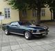 Ford Mustang (Papfar's)