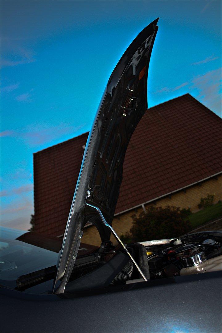 Ford Fiesta ST billede 20