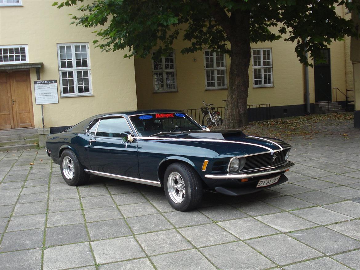 Ford Mustang (Papfar's) - Bryllups kørsel - Køge Rådhus. billede 1