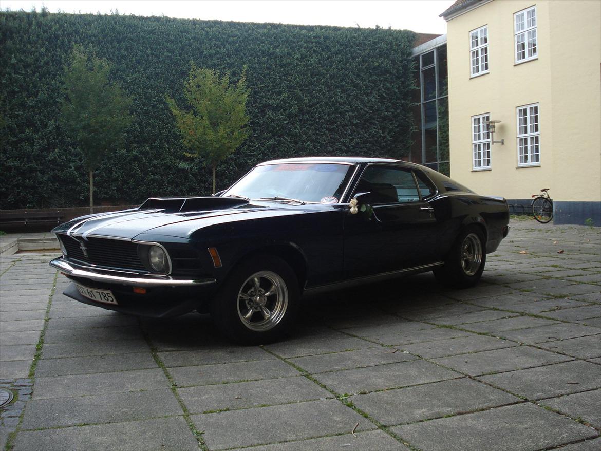 Ford Mustang (Papfar's) - Bryllups kørsel - Køge Rådhus. billede 3