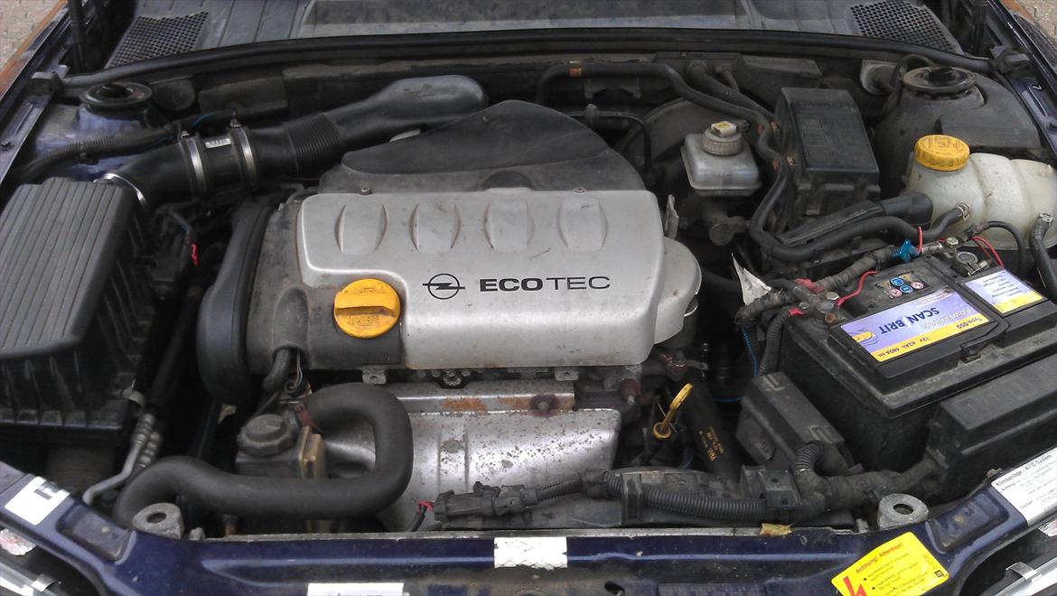 Opel Vectra B billede 4