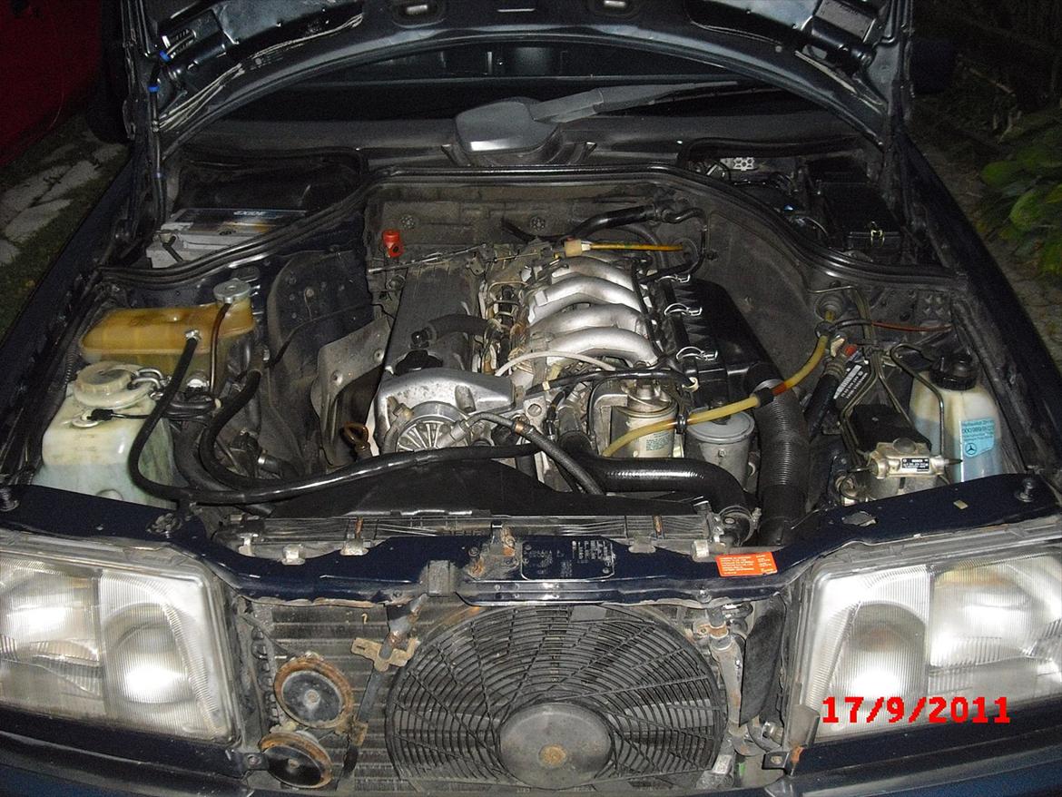 Mercedes Benz E 250 TD (Touring Diesel) - Bemærk at det kun er hornet der er lidt rustent. Resten står originalt næsten uden tæringer. billede 13