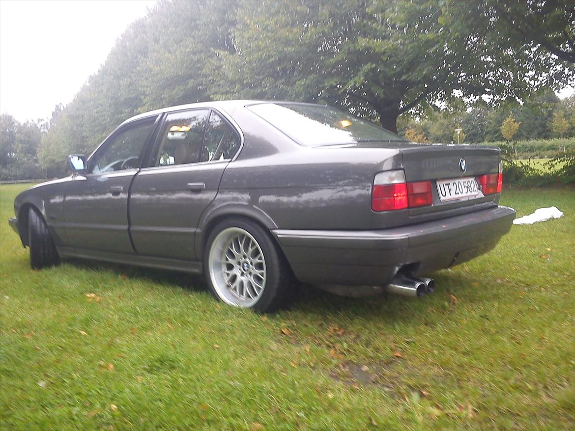 BMW 525/528i billede 1