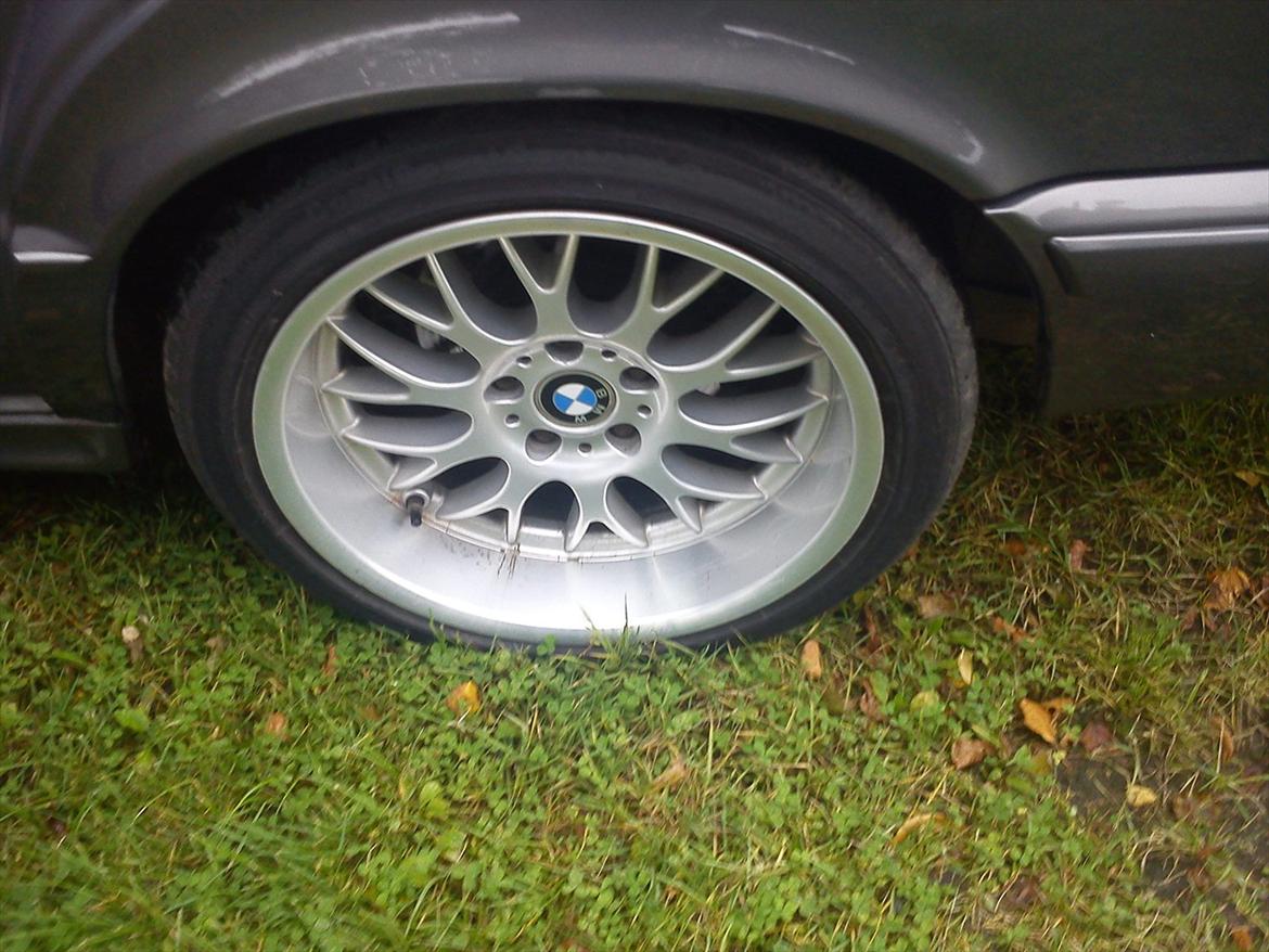 BMW 525/528i billede 4