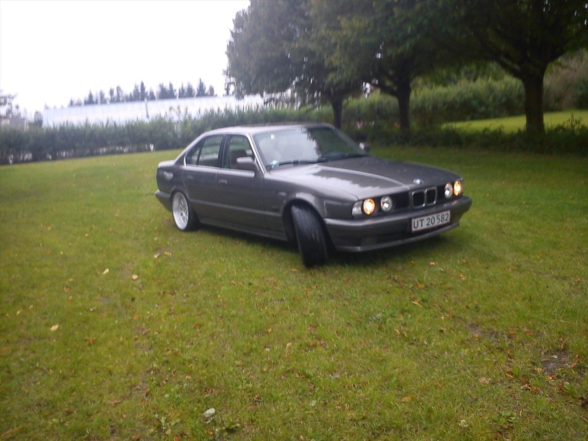 BMW 525/528i billede 8
