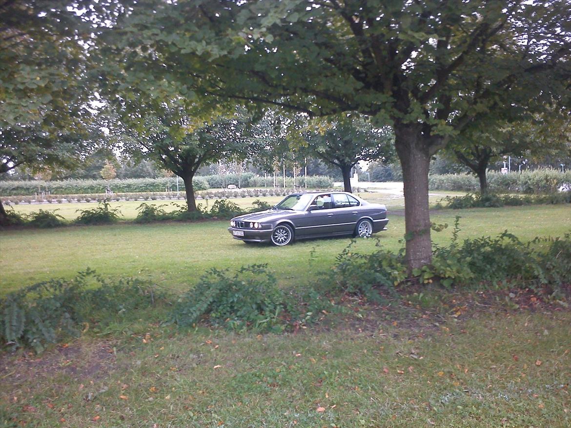 BMW 525/528i billede 9