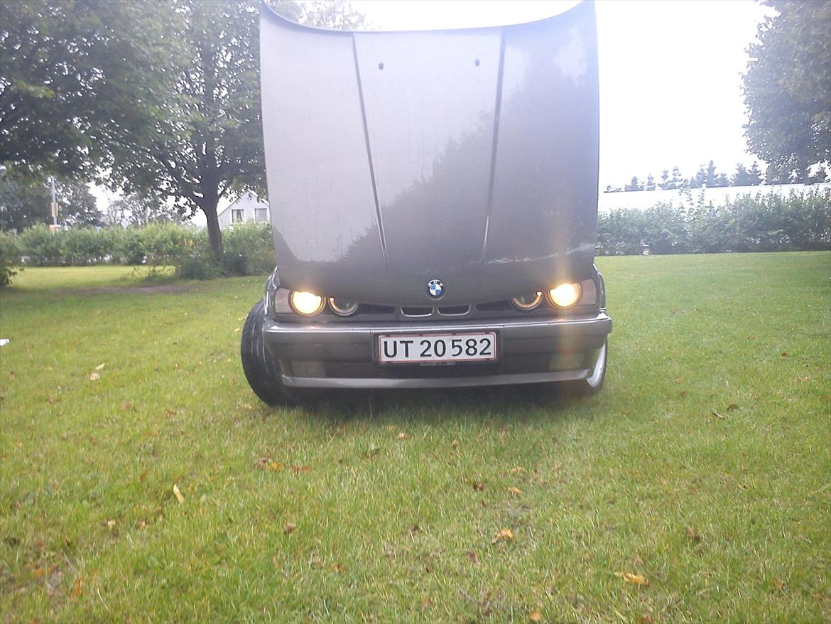 BMW 525/528i billede 13