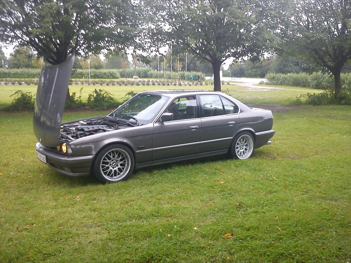 BMW 525/528i billede 17