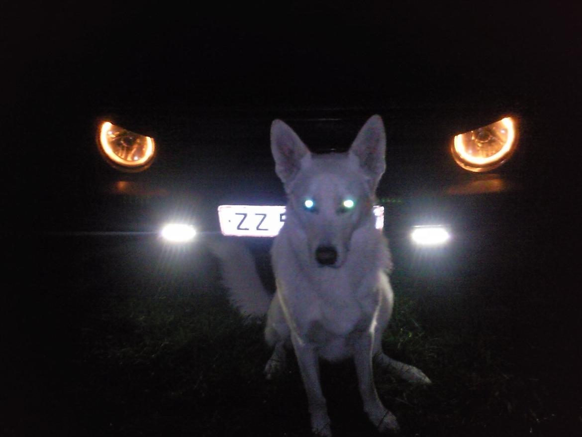 VW Golf 2 Speciel solgt billede 1