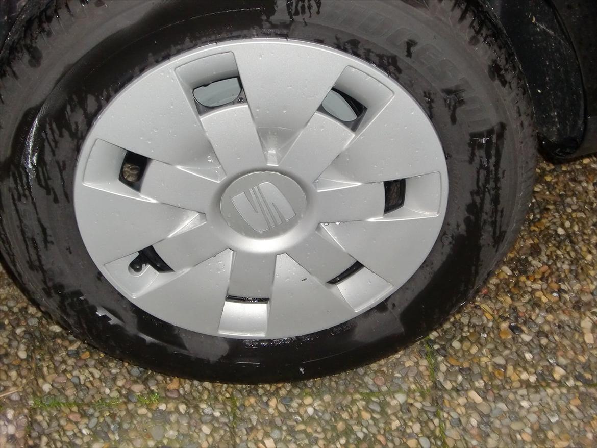 Seat Ibiza SC billede 11