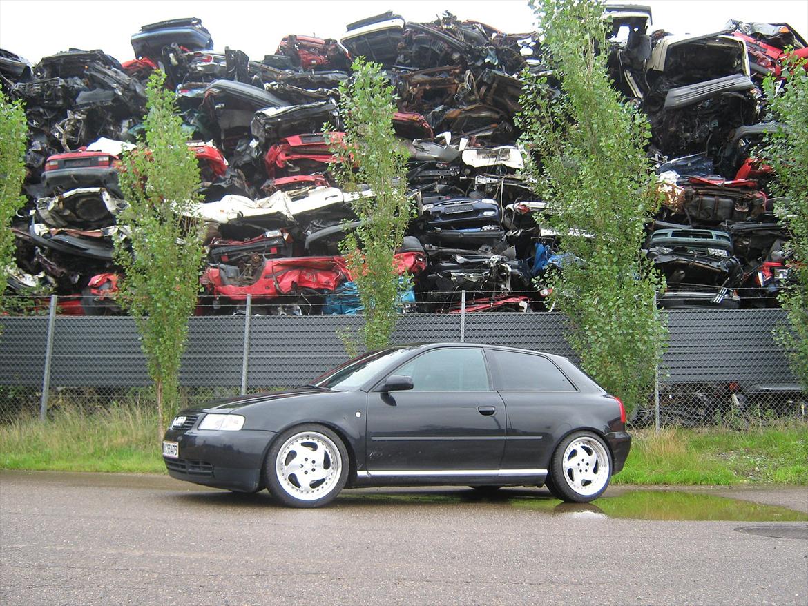 Audi A3/S3 Turbo Quattro billede 2