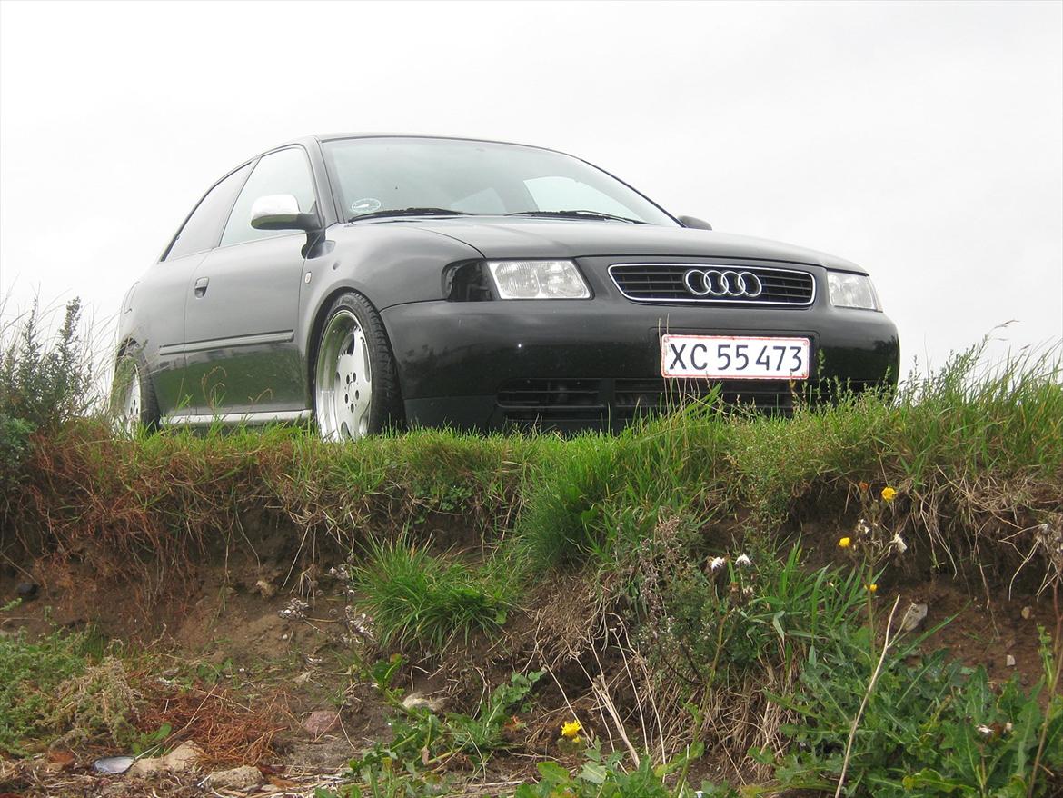 Audi A3/S3 Turbo Quattro billede 7