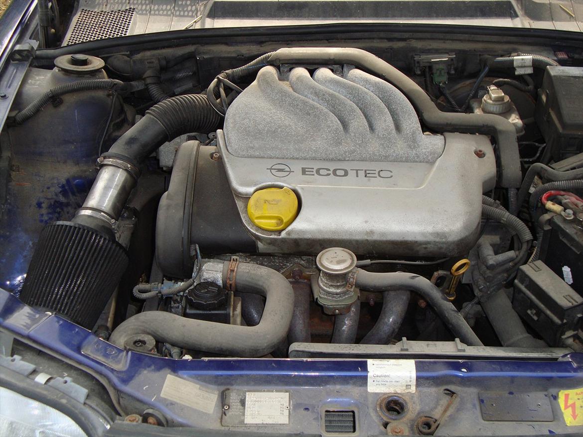 Opel vectra B 1.6 16v billede 6