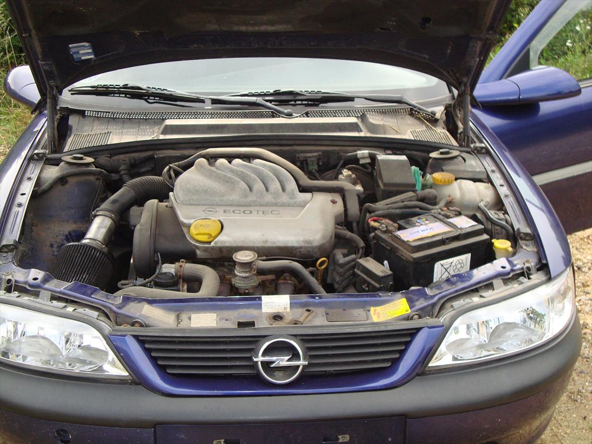 Opel vectra B 1.6 16v billede 5