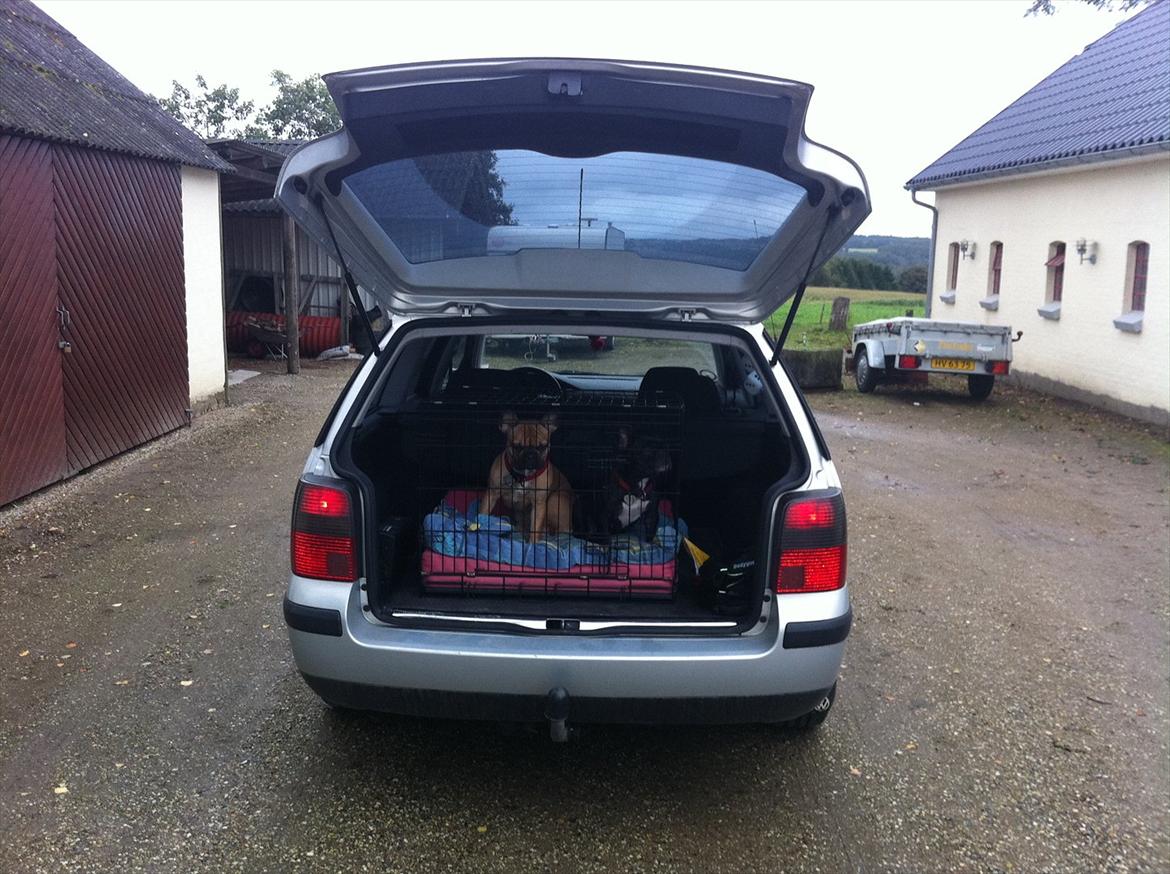 VW Passat 3B Variant SOLGT billede 2