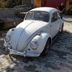 VW 1500 lim 113