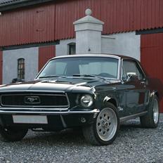 Ford  Mustang 